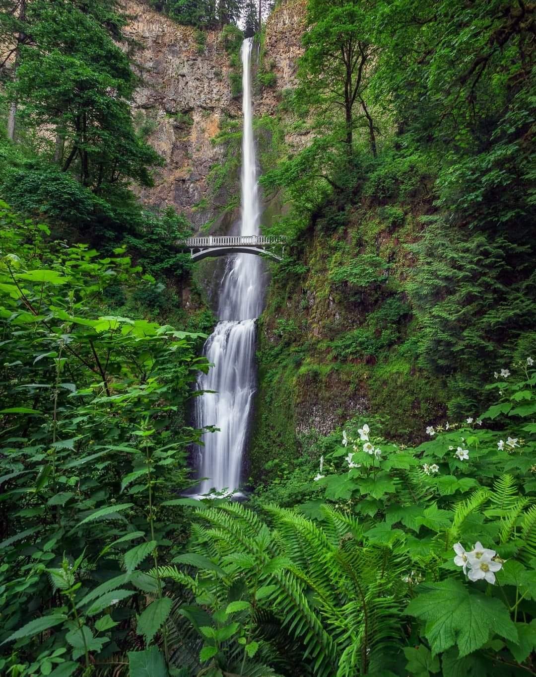 https://en.wikipedia.org/wiki/Multnomah_Falls