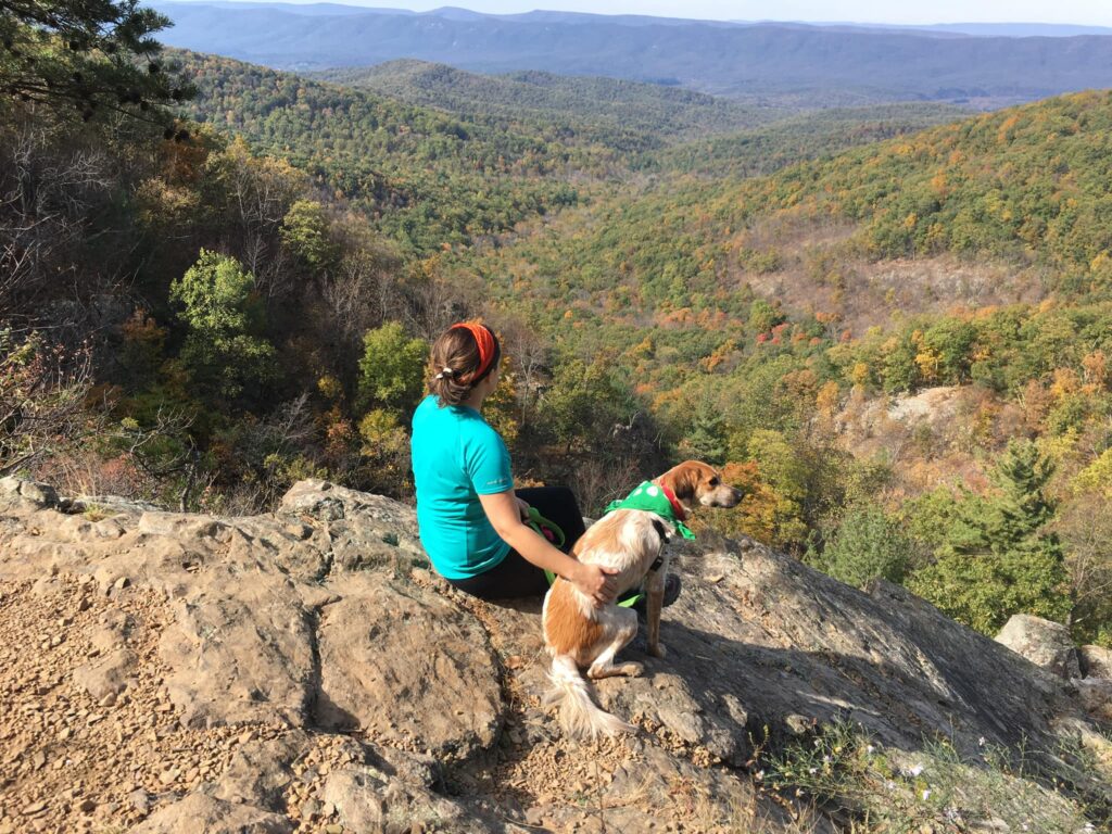 Risk Hiking Dogs near me